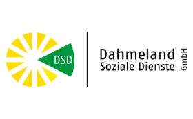 dahmelandsozialedienste.de